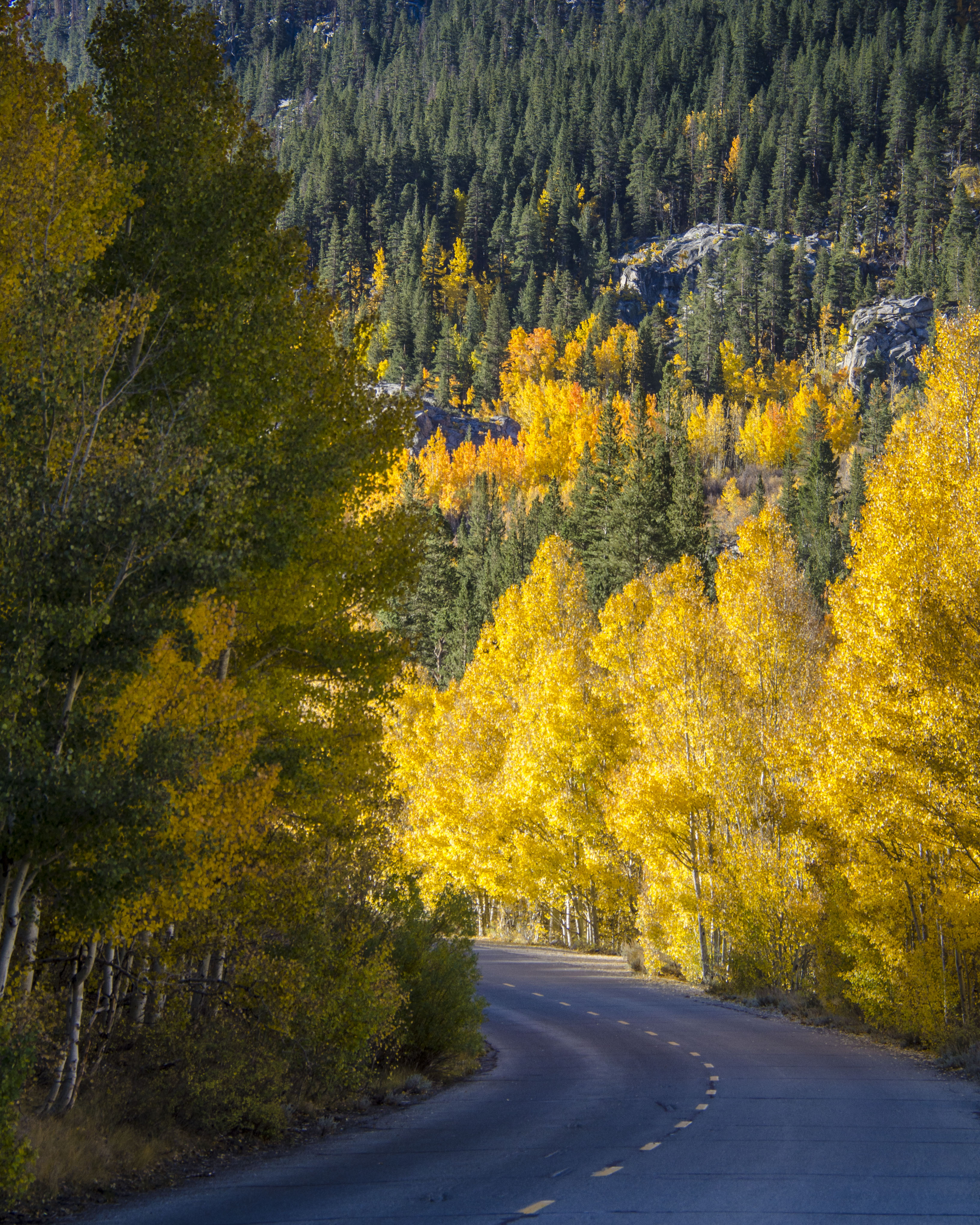 Bishop Creek Canyon | Shutterbug